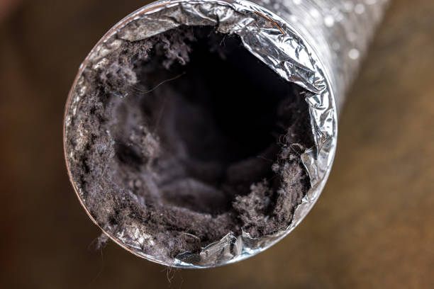 Best Commercial Air Duct Cleaning  in Martsville, IN