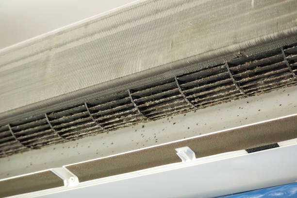 Best Ductwork Cleaning Services  in Martsville, IN